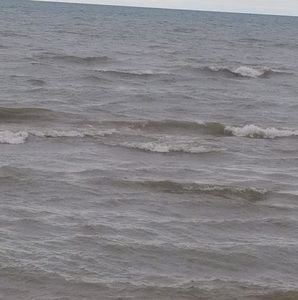 Meet your Posher, Angelica